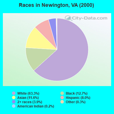 Races in Newington, VA (2000)