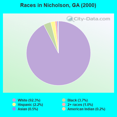 Races in Nicholson, GA (2000)