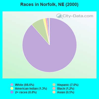 Races in Norfolk, NE (2000)