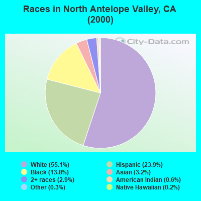 Races in North Antelope Valley, CA (2000)