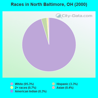 Races in North Baltimore, OH (2000)