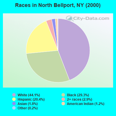 Races in North Bellport, NY (2000)