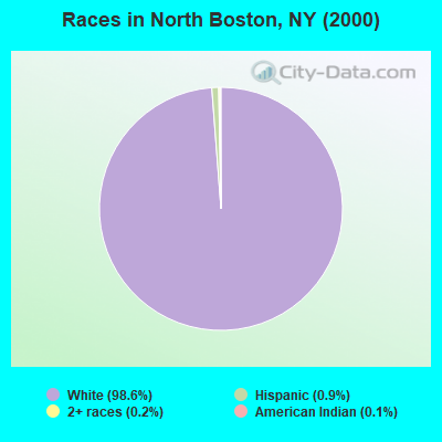 Races in North Boston, NY (2000)