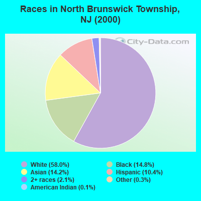 Races in North Brunswick Township, NJ (2000)