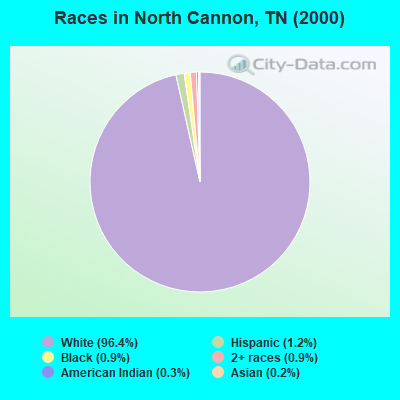 Races in North Cannon, TN (2000)