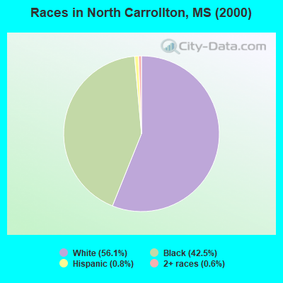 Races in North Carrollton, MS (2000)