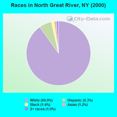 Races in North Great River, NY (2000)