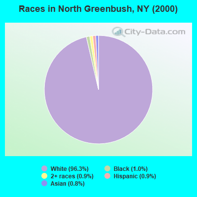Races in North Greenbush, NY (2000)