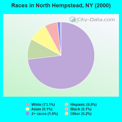 Races in North Hempstead, NY (2000)