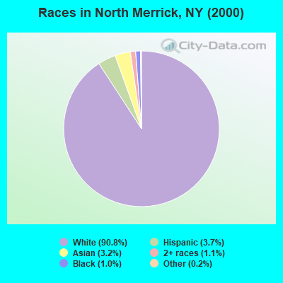 Races in North Merrick, NY (2000)