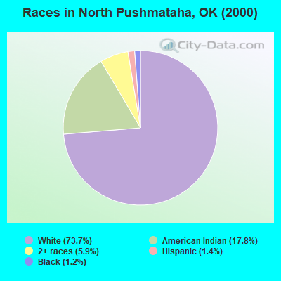 Races in North Pushmataha, OK (2000)