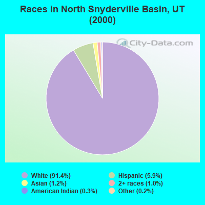 Races in North Snyderville Basin, UT (2000)
