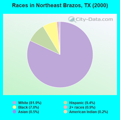 Races in Northeast Brazos, TX (2000)