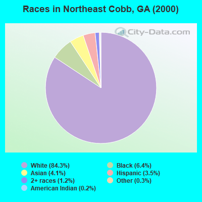 Races in Northeast Cobb, GA (2000)