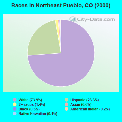 Races in Northeast Pueblo, CO (2000)