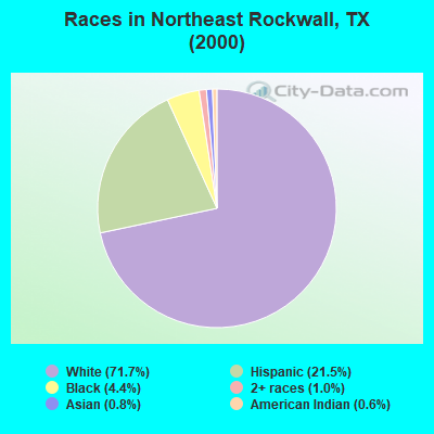Races in Northeast Rockwall, TX (2000)