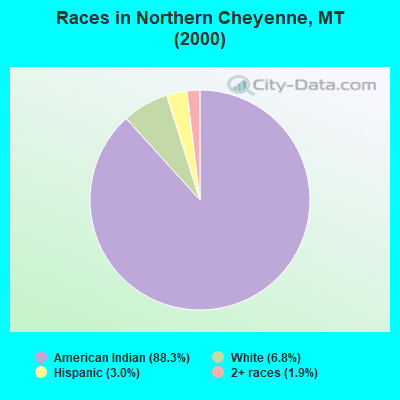 Races in Northern Cheyenne, MT (2000)
