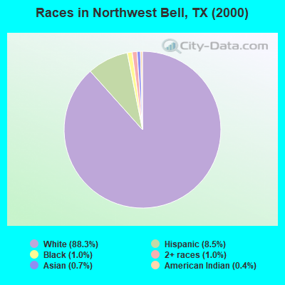 Races in Northwest Bell, TX (2000)