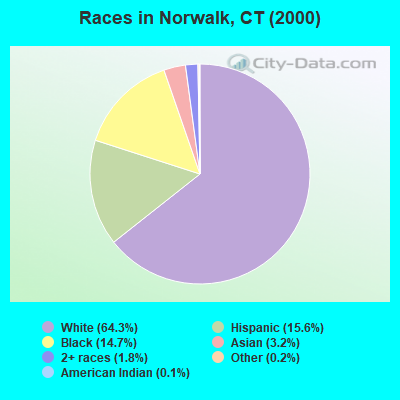 Races in Norwalk, CT (2000)
