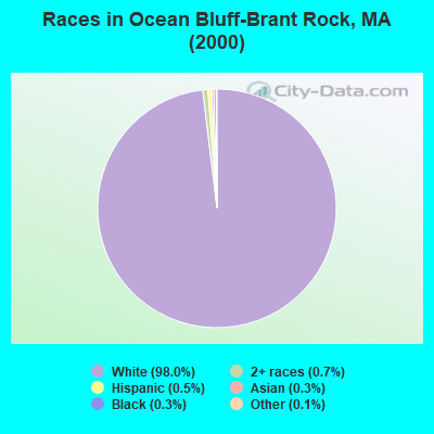 Races in Ocean Bluff-Brant Rock, MA (2000)