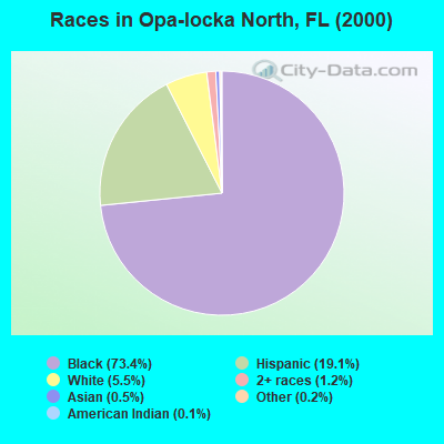 Races in Opa-locka North, FL (2000)