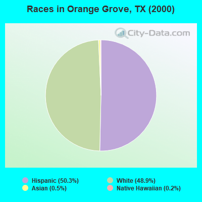Races in Orange Grove, TX (2000)