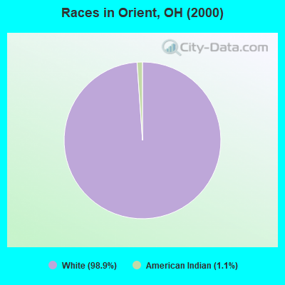 Races in Orient, OH (2000)