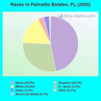 Races in Palmetto Estates, FL (2000)