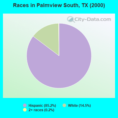 Races in Palmview South, TX (2000)