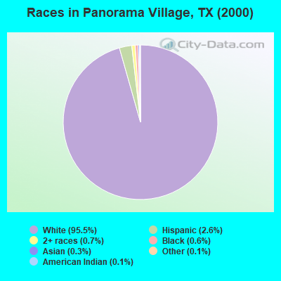 Races in Panorama Village, TX (2000)