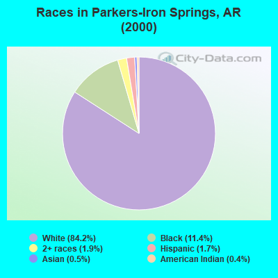 Races in Parkers-Iron Springs, AR (2000)