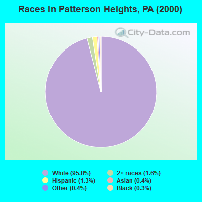 Races in Patterson Heights, PA (2000)