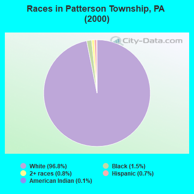 Races in Patterson Township, PA (2000)