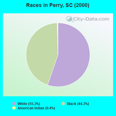 Races in Perry, SC (2000)