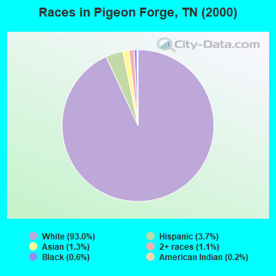 Races in Pigeon Forge, TN (2000)