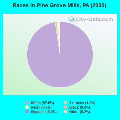 Races in Pine Grove Mills, PA (2000)