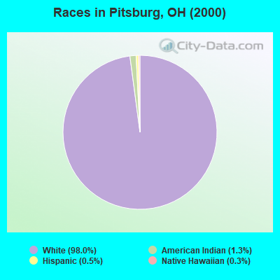 Races in Pitsburg, OH (2000)