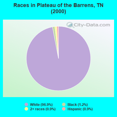 Races in Plateau of the Barrens, TN (2000)