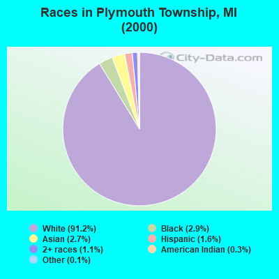 Races in Plymouth Township, MI (2000)