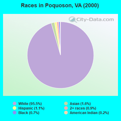Races in Poquoson, VA (2000)