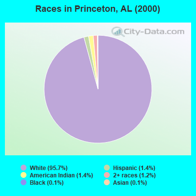 Races in Princeton, AL (2000)
