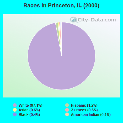 Races in Princeton, IL (2000)