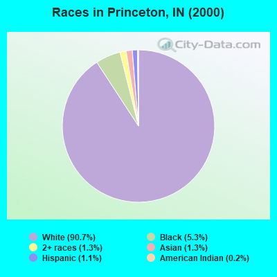 Races in Princeton, IN (2000)
