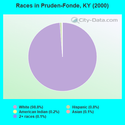 Races in Pruden-Fonde, KY (2000)