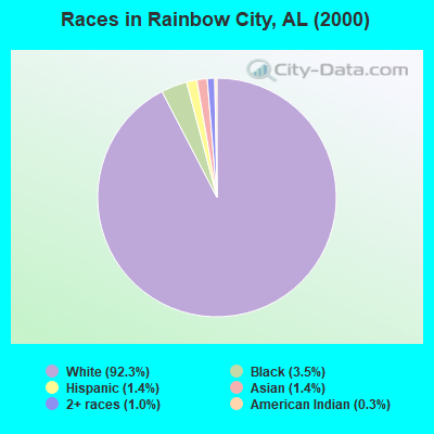 Races in Rainbow City, AL (2000)