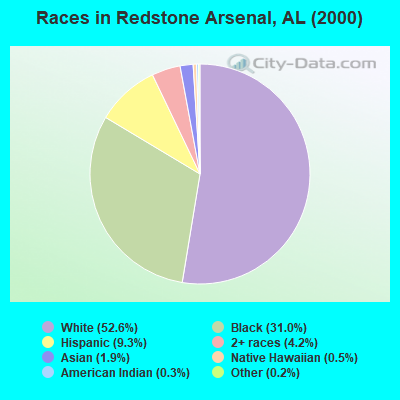 Races in Redstone Arsenal, AL (2000)