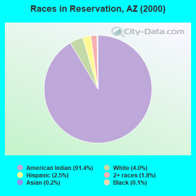 Races in Reservation, AZ (2000)