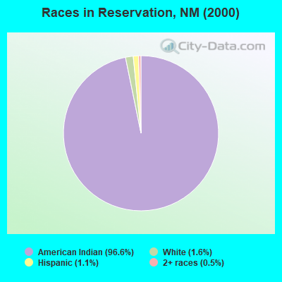 Races in Reservation, NM (2000)