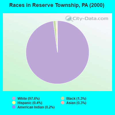 Races in Reserve Township, PA (2000)