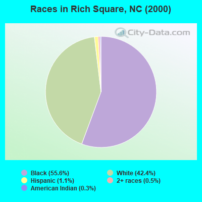 Races in Rich Square, NC (2000)